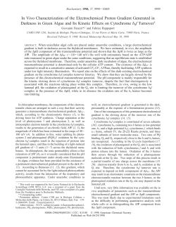 In Vivo Characterization of the Electrochemical Proton Gradient
