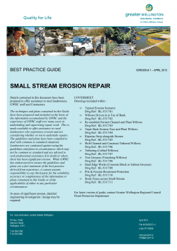 small stream erosion repair - Greater Wellington Regional Council