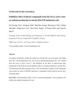 SUPPLEMENTARY MATERIAL Inhibition effect of phenyl