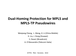MPLS-TP PW Dual-Homing Protection