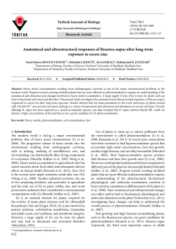Anatomical and ultrastructural responses of