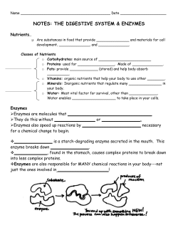 Digestion Notes digestion_notes_2