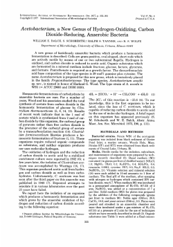 Acetobacterium, a New Genus of Hydrogen