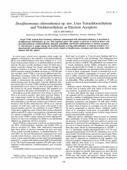 DesuZfirornonas chloroethenica sp. nov. Uses Tetrachloroethylene