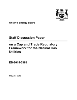 Staff Discussion Paper