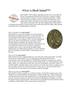 Herb Salad - Whidbey Birds