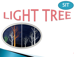 light tree - 123seminarsonly.com