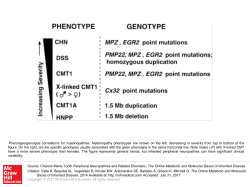 Slide 1 - Ommbid.com