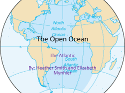 The Open Ocean