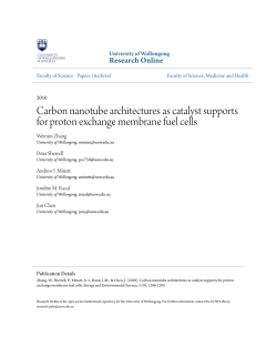 Carbon nanotube architectures as catalyst - Research Online
