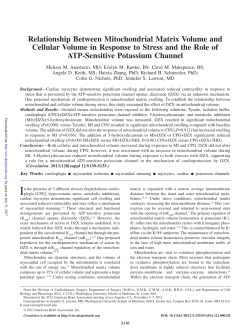Relationship Between Mitochondrial Matrix Volume and