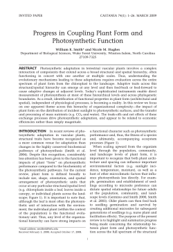 Progress in Coupling Plant Form and Photosynthetic
