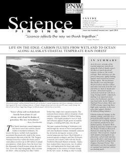 Life On the Edge: Carbon Fluxes from Wetland to Ocean Along