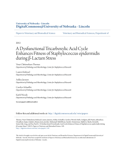 A Dysfunctional Tricarboxylic Acid Cycle Enhances Fitness of
