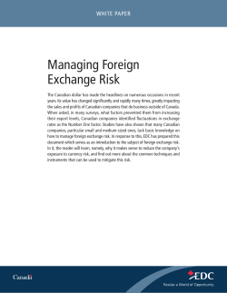 Managing Foreign Exchange Risk