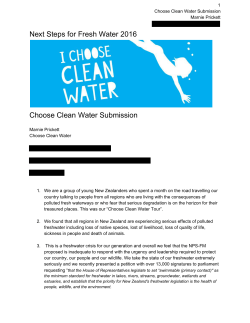 Next Steps for Fresh Water 2016 Choose Clean Water Submission