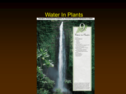 Power Point over Stern`s Ch. 9