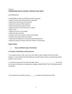 Chapter 6 CHROMOSOMES AND CELL DIVISION&mdash;CONTINUITY
