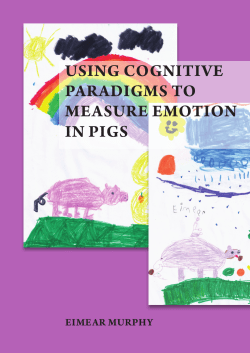 using cognitive paradigms to measure emotion in pigs