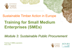 Sustainable public procurement