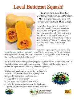 Butternut Squash Snack Fact Sheet Ronan