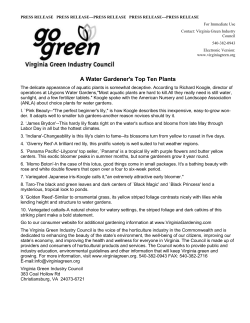 press release press release--