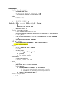 Cell Respiration