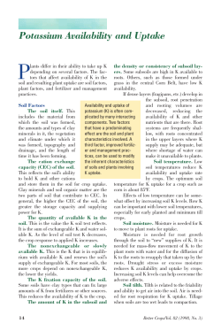 Potassium Availability and Uptake