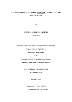 FACTORS AFFECTING MAIZE (Zea mays L.) SENSITIVITY TO
