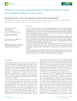 birdpollinated flowers target the specific colour