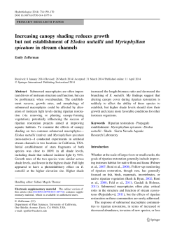 Increasing canopy shading reduces growth but not