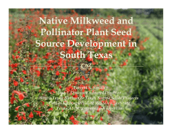 2_Smith-Native milkweed and pollinator plant seed source
