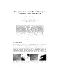 Nonnegative Mixed-Norm Preconditioning for Microscopy Image