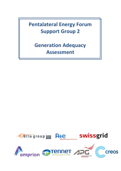 Pentalateral Energy Forum Support Group 2 Generation