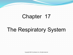 Chapter 7 Body Systems