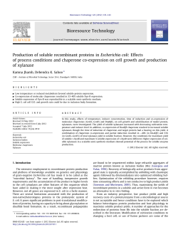 Production of soluble recombinant proteins in Escherichia coli