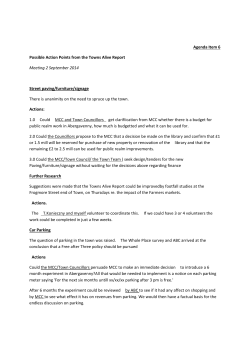 Agenda Item 6 Possible Action Points from the Towns Alive Report