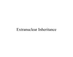 Extranuclear Inheritance