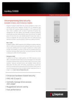 IronKey S1000