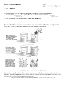 Investigating Osmosis