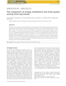 The comparison of energy metabolism and meat