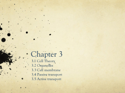 Chapter 3 - whsbaumanbiology