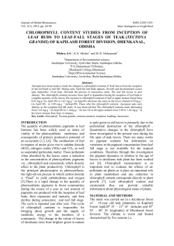 chlorophyll content studies from inception of leaf buds to leaf