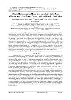 Effect of Intercropping Maize (Zea mays L.) with Soybean (Glycine