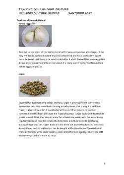 Here some RECIPES FOOD CULTURE COURSE feb 2017