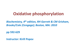 Oxidative Phosphorylation