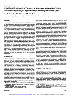 Initial Rate Kinetics of the Transport of