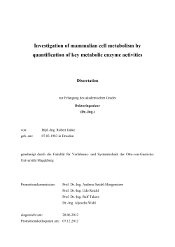 Investigation of mammalian cell metabolism by