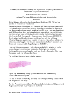 Case Report - Histological Findings and Algorithm for Morphological