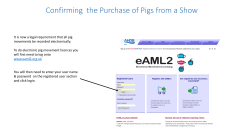Guide on how to register pigs purchased at a show